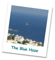 The Blue Haze