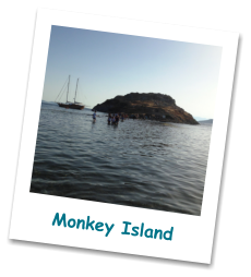 Monkey Island